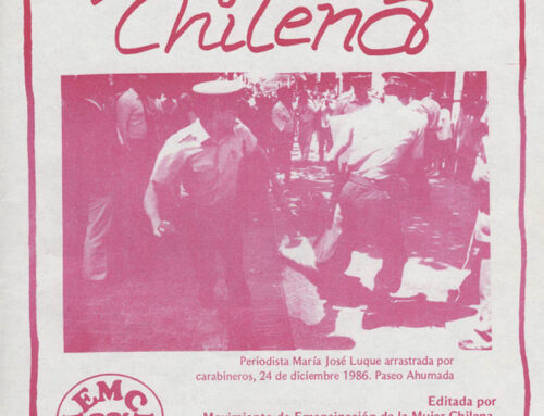 Boletina chilena Nº 13